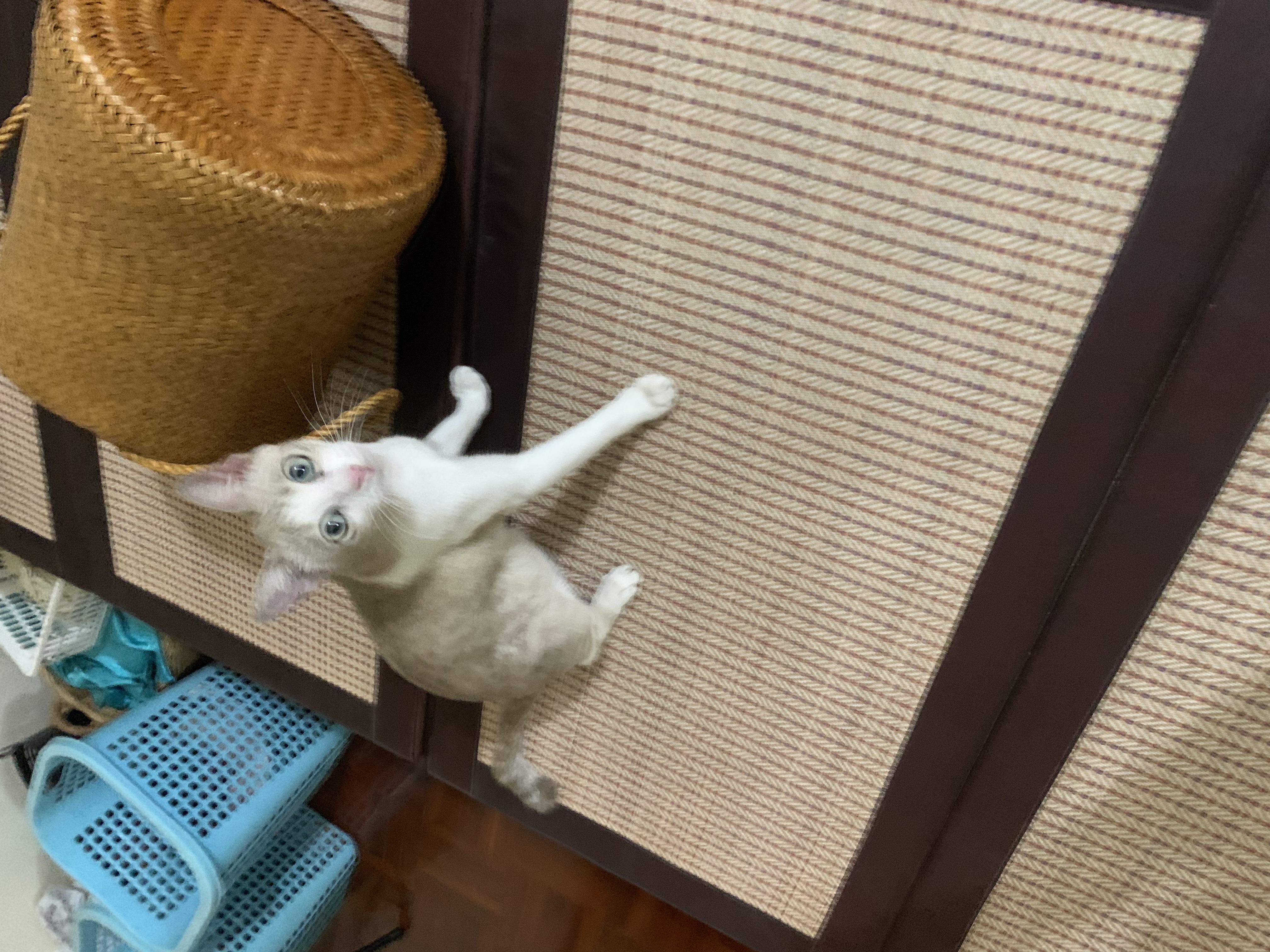 แงว1