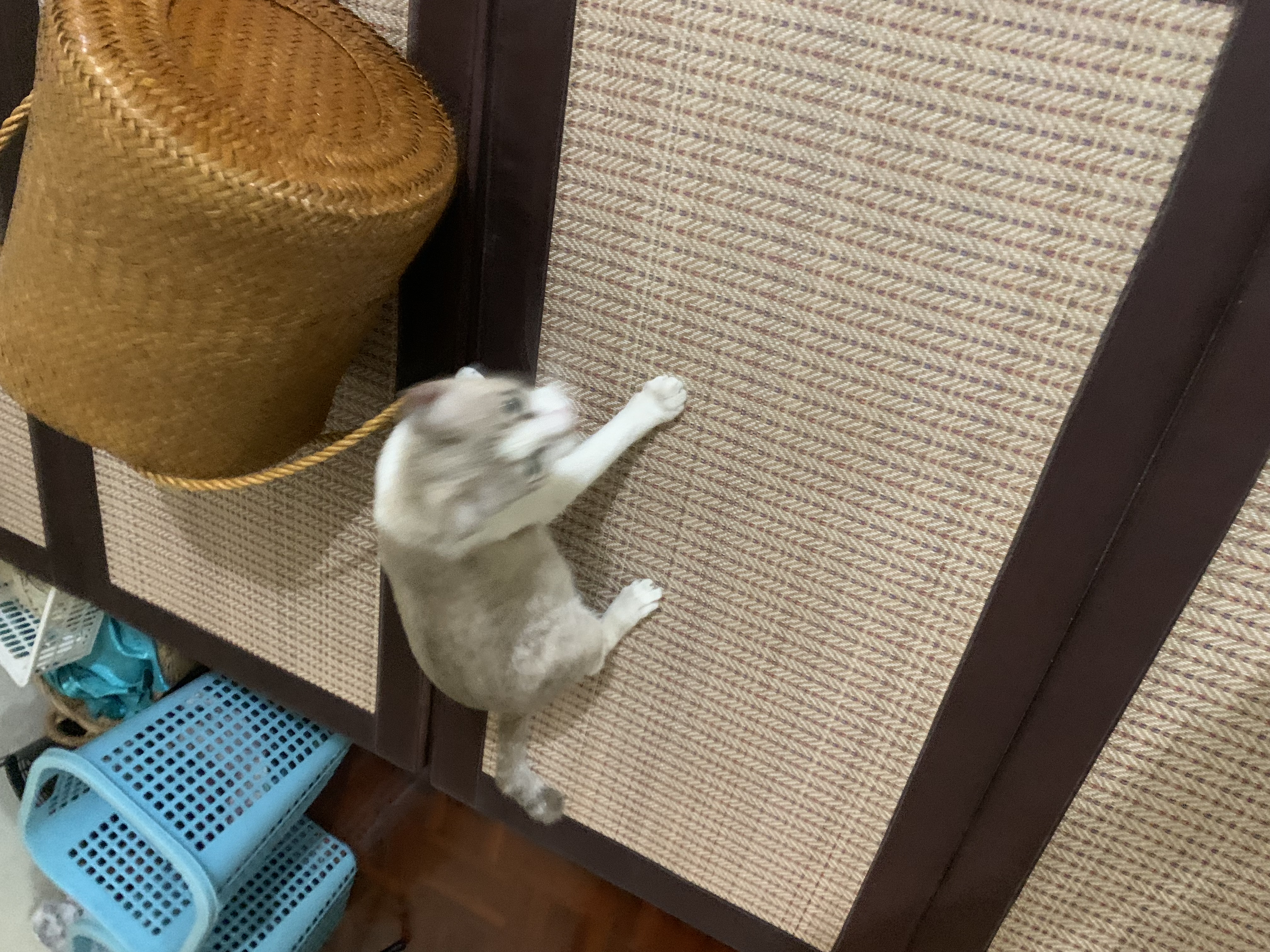 แงว2